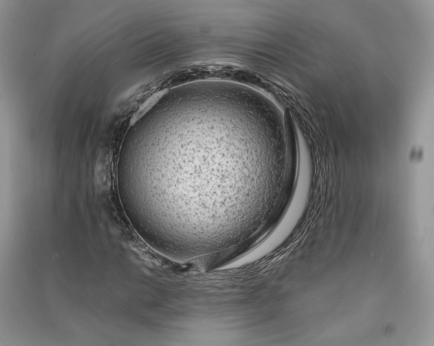 X0000090901014200708131348