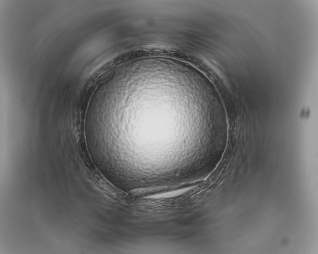 X0000090901015200708131348