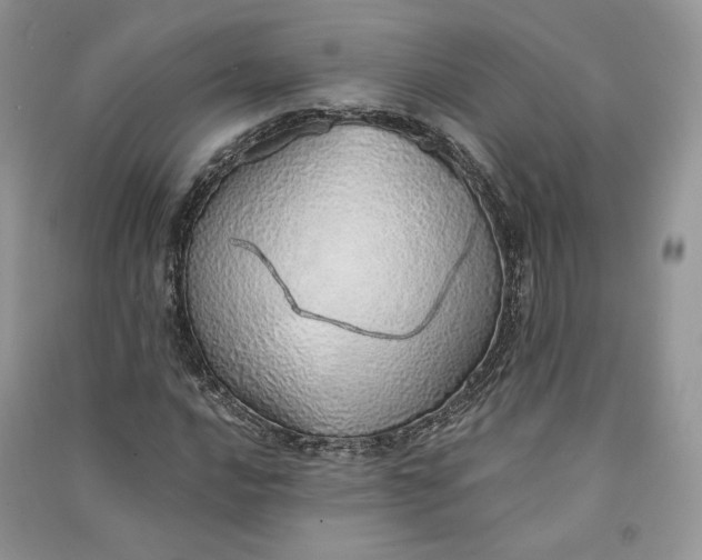 X0000090901016200708131348