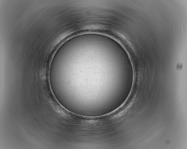 X0000090901017200708131348