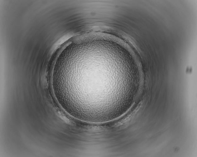 X0000090901018200708131348