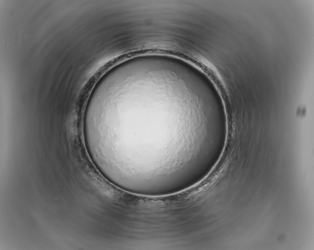 X0000090901019200708131348