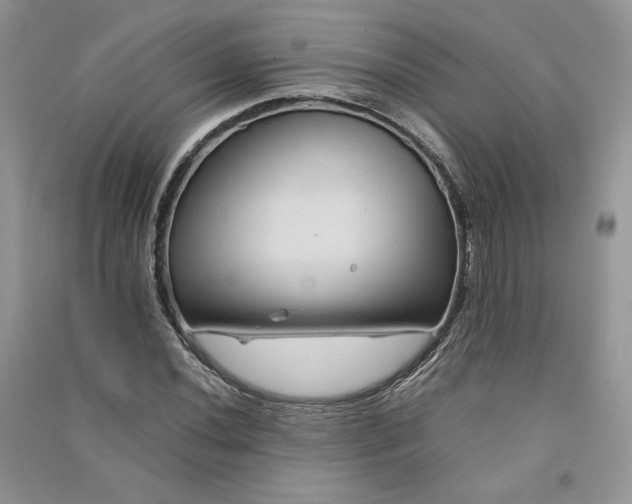 X0000090901020200708131348