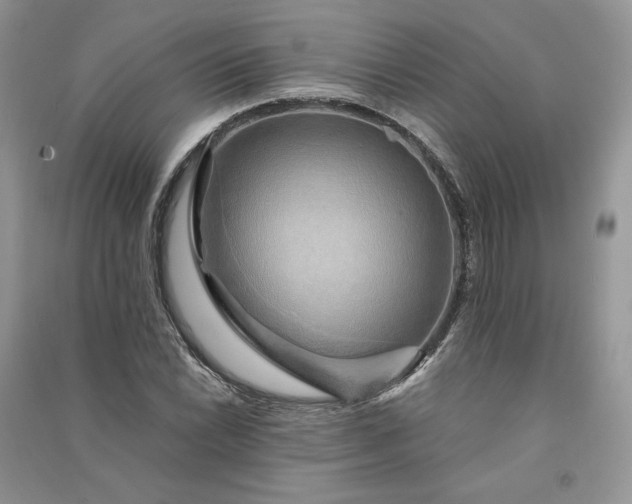 X0000090901022200708131348