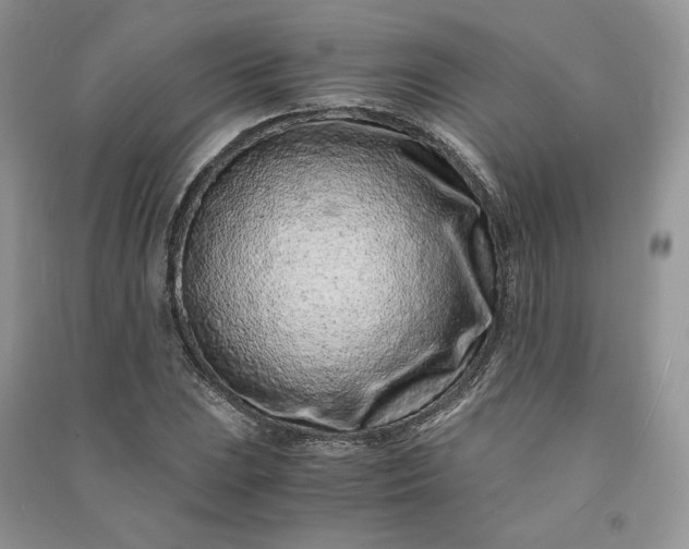 X0000090901023200708131348