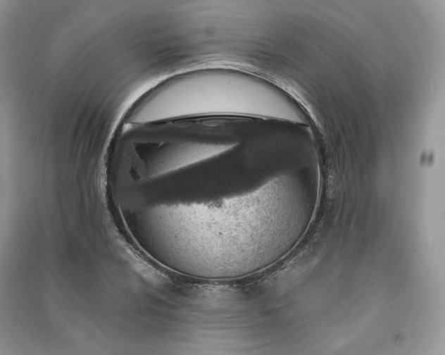 X0000090901024200708131348