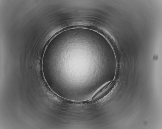 X0000090901025200708131348