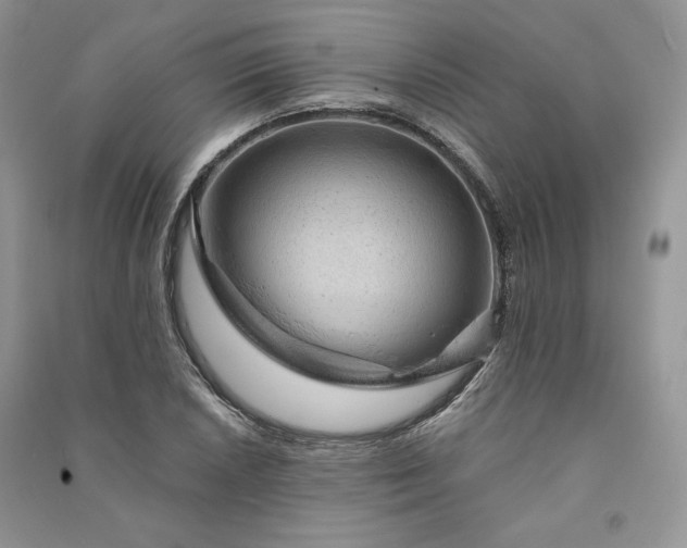 X0000090901026200708131348