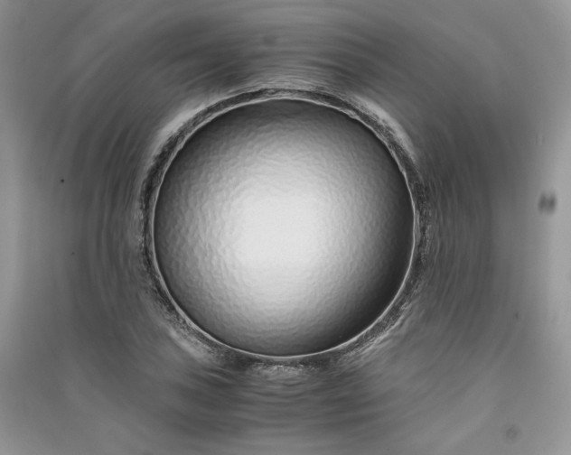 X0000090901027200708131348