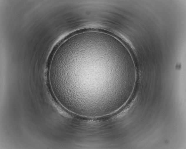 X0000090901029200708131348