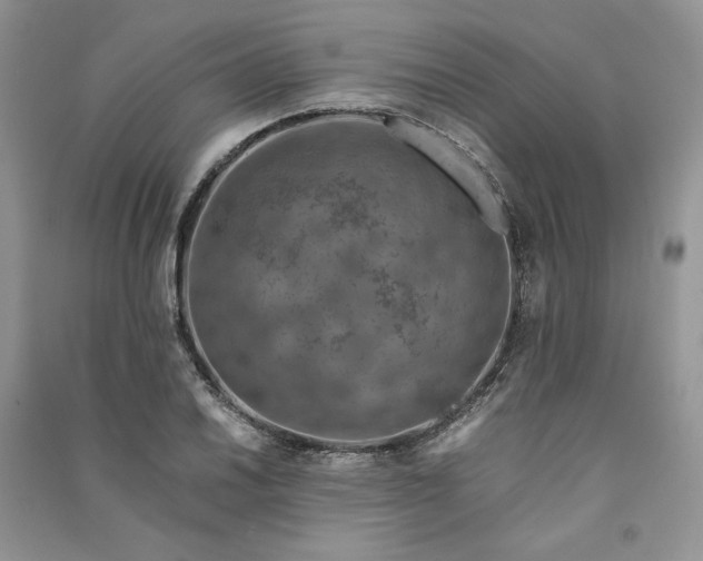 X0000090901030200708131348
