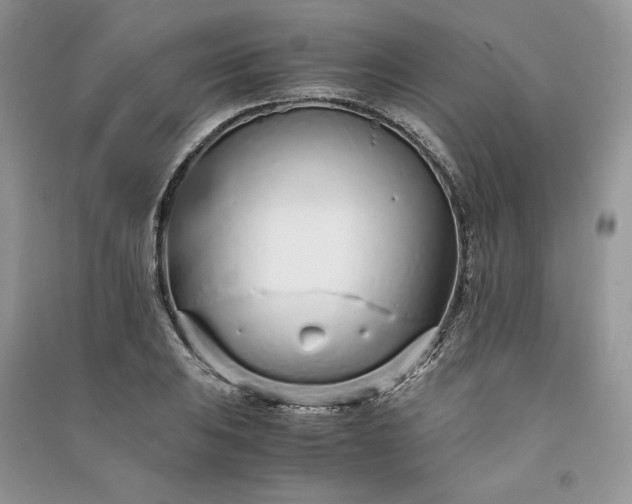 X0000090901031200708131348