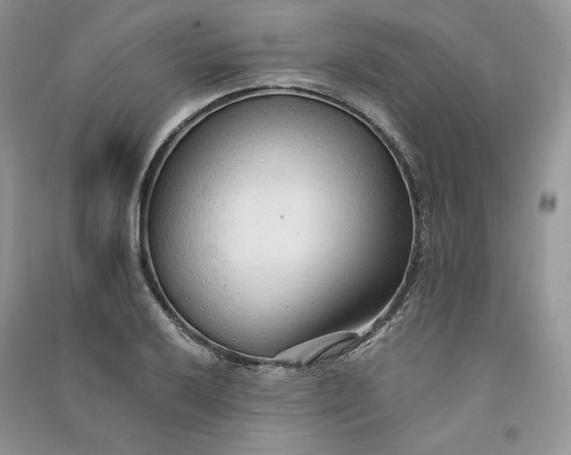 X0000090901032200708131348