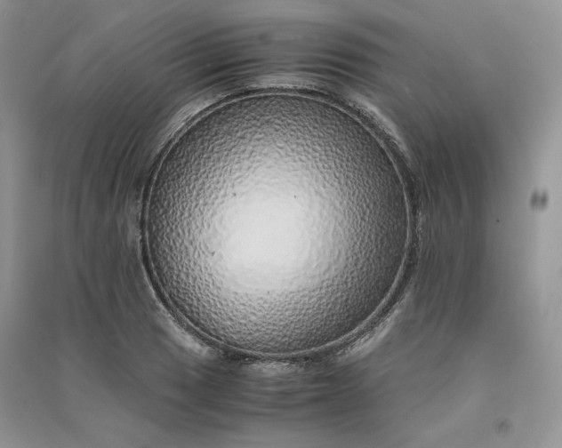 X0000090901033200708131348