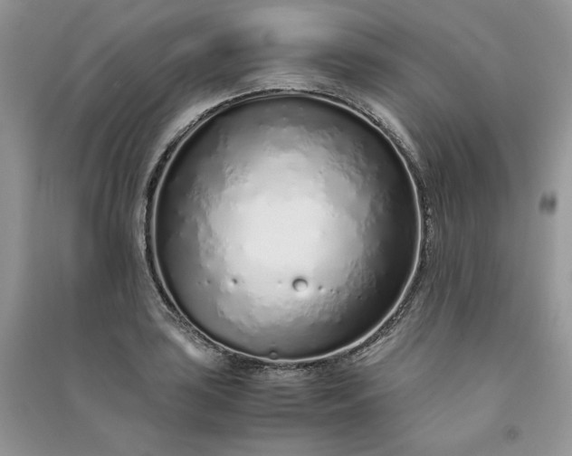 X0000090901035200708131348