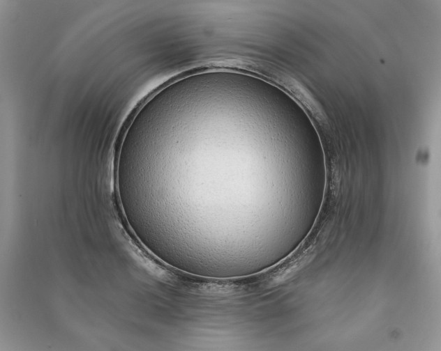 X0000090901036200708131348