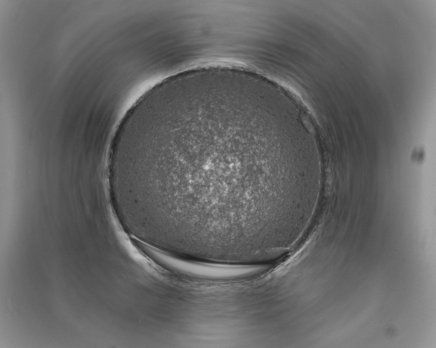 X0000090901038200708131348
