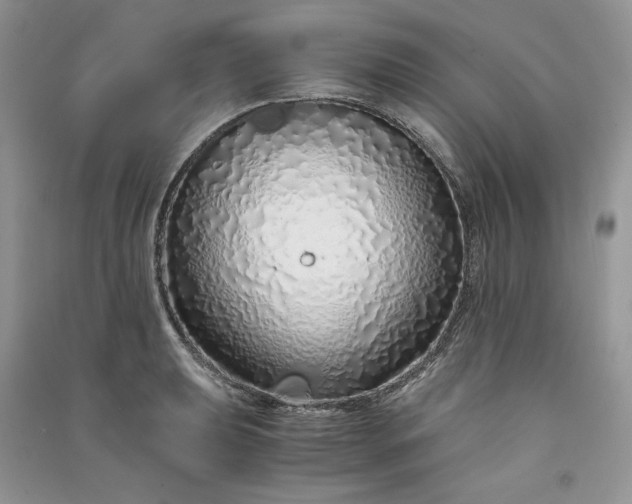 X0000090901039200708131348