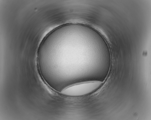 X0000090901040200708131348