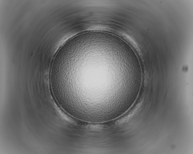 X0000090901041200708131348