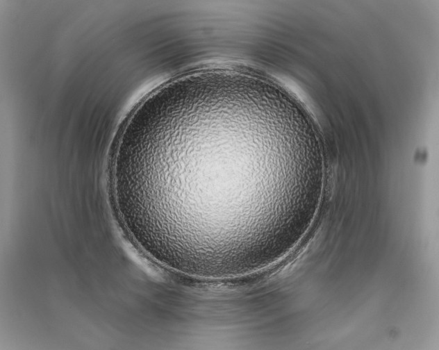X0000090901042200708131348