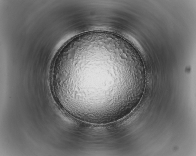 X0000090901043200708131348