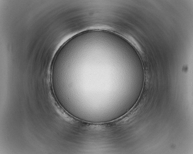 X0000090901044200708131348