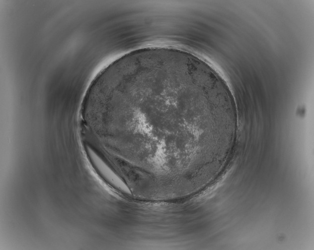 X0000090901045200708131348