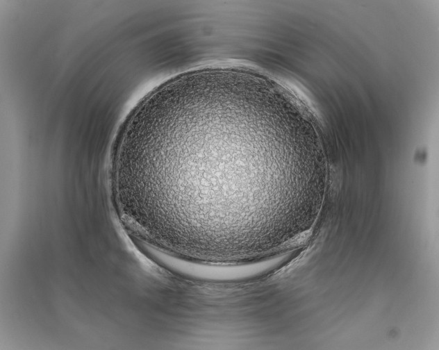 X0000090901046200708131348