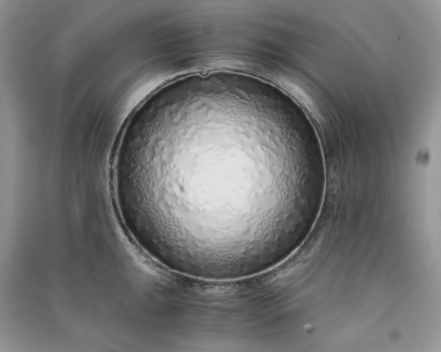 X0000090901047200708131348