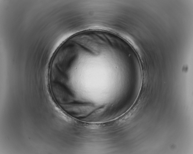 X0000090901048200708131348