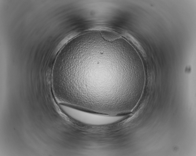 X0000090901049200708131348