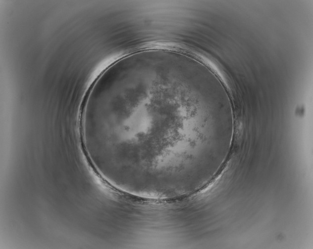 X0000090901050200708131348