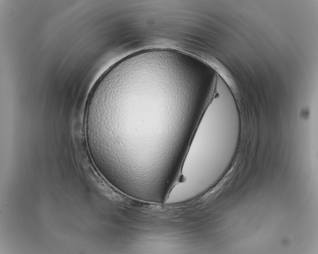 X0000090901052200708131348