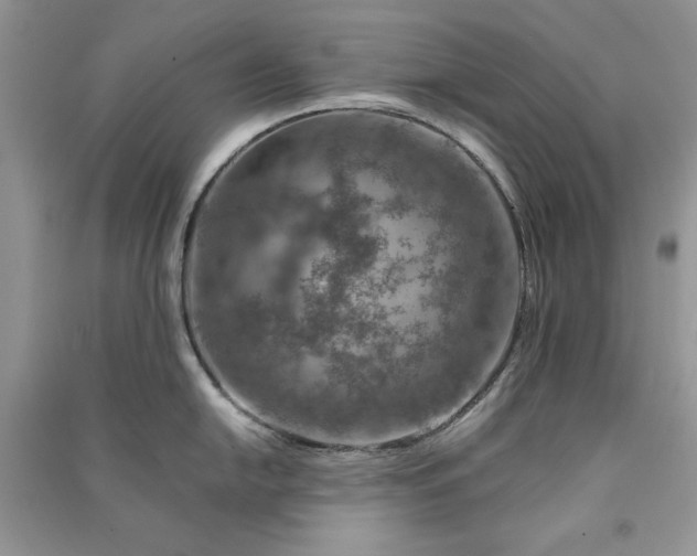 X0000090901054200708131348