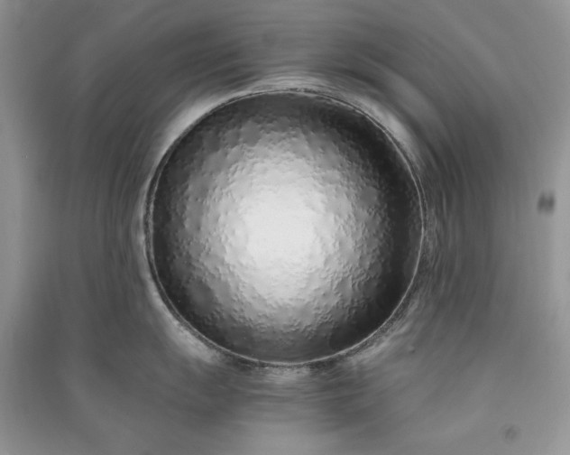 X0000090901055200708131348