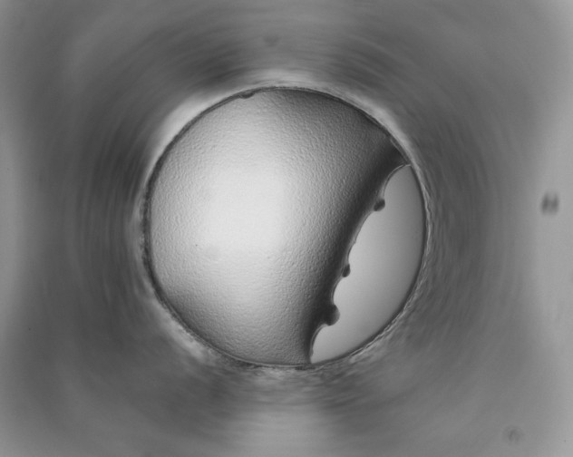 X0000090901056200708131348