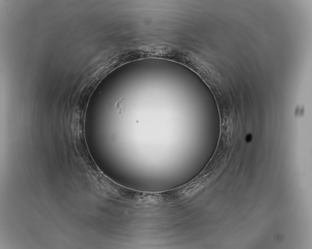 X0000090901058200708131348