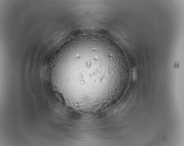 X0000090901059200708131348