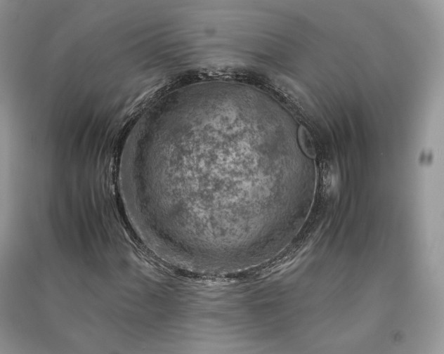 X0000090901060200708131348