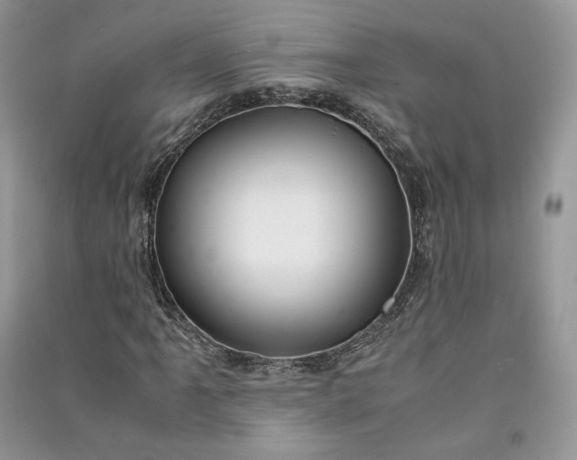 X0000090901061200708131348