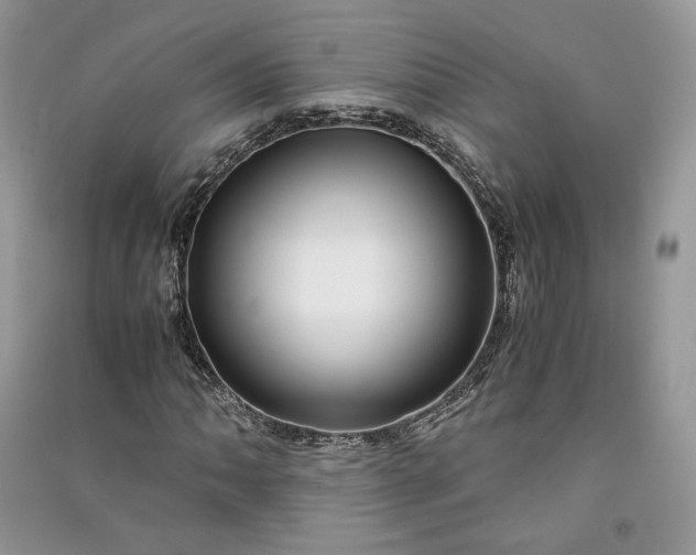 X0000090901062200708131348
