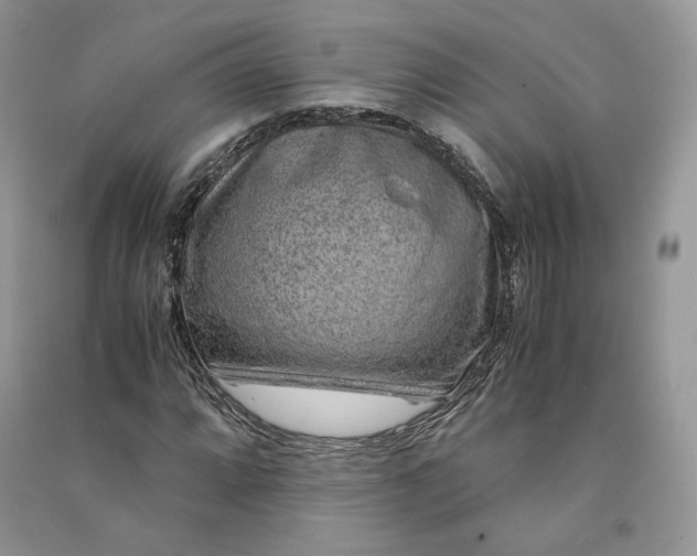 X0000090901064200708131348