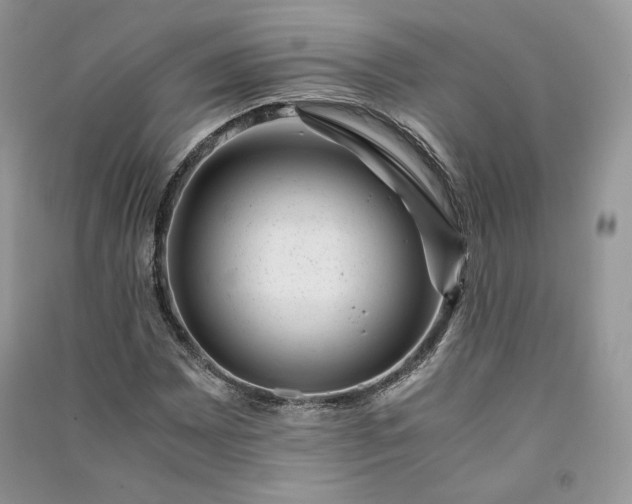 X0000090901065200708131348