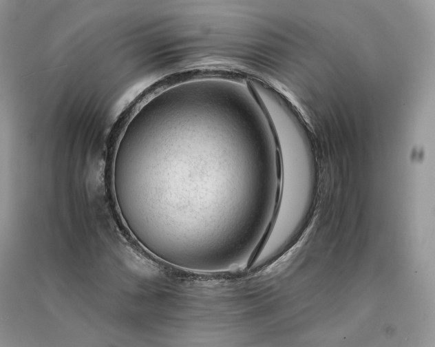 X0000090901066200708131348