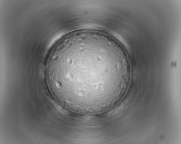 X0000090901067200708131348