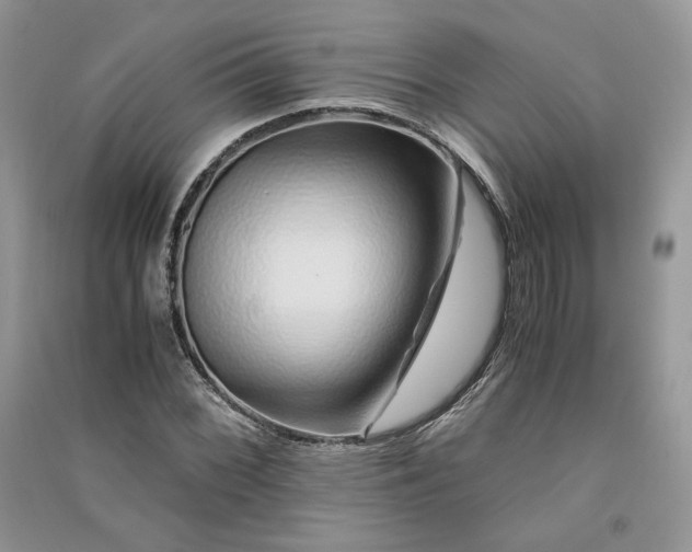 X0000090901068200708131348