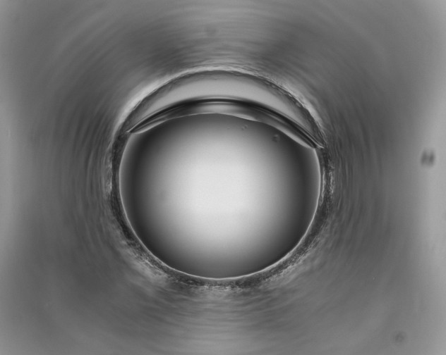 X0000090901069200708131348