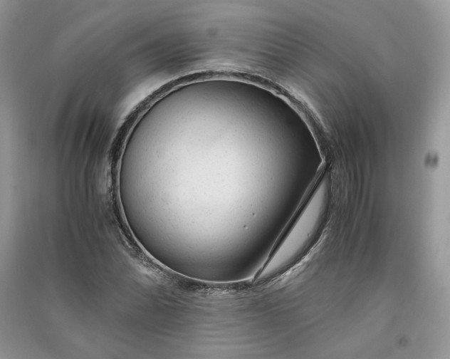 X0000090901070200708131348