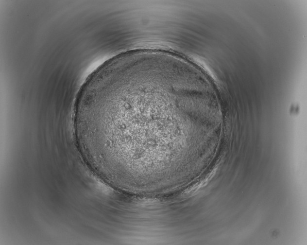 X0000090901071200708131348